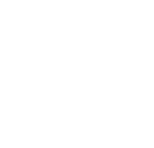 Swing ConneXion logo